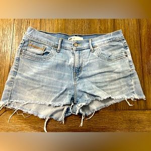 Levi Distressed Denim Shorts | Size 10
